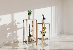 זוג מדפים דקורטיבים