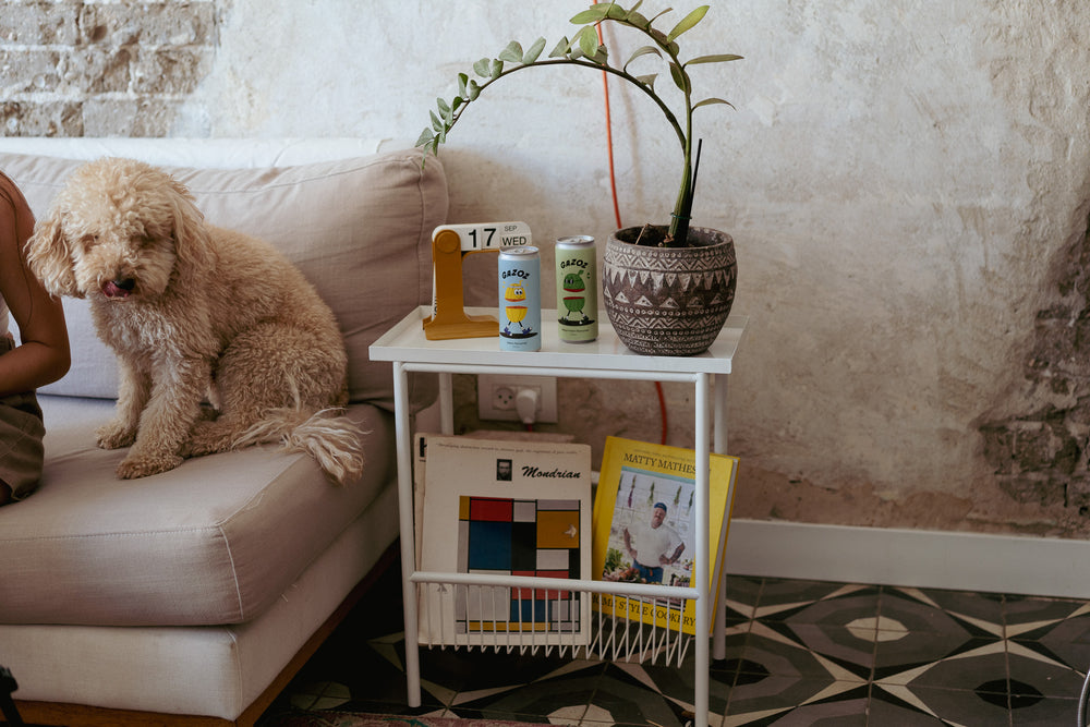 שולחן צד עם מדף אחסון תחתון - כסף